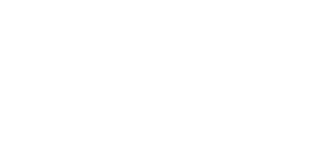 Beyond the Ballot